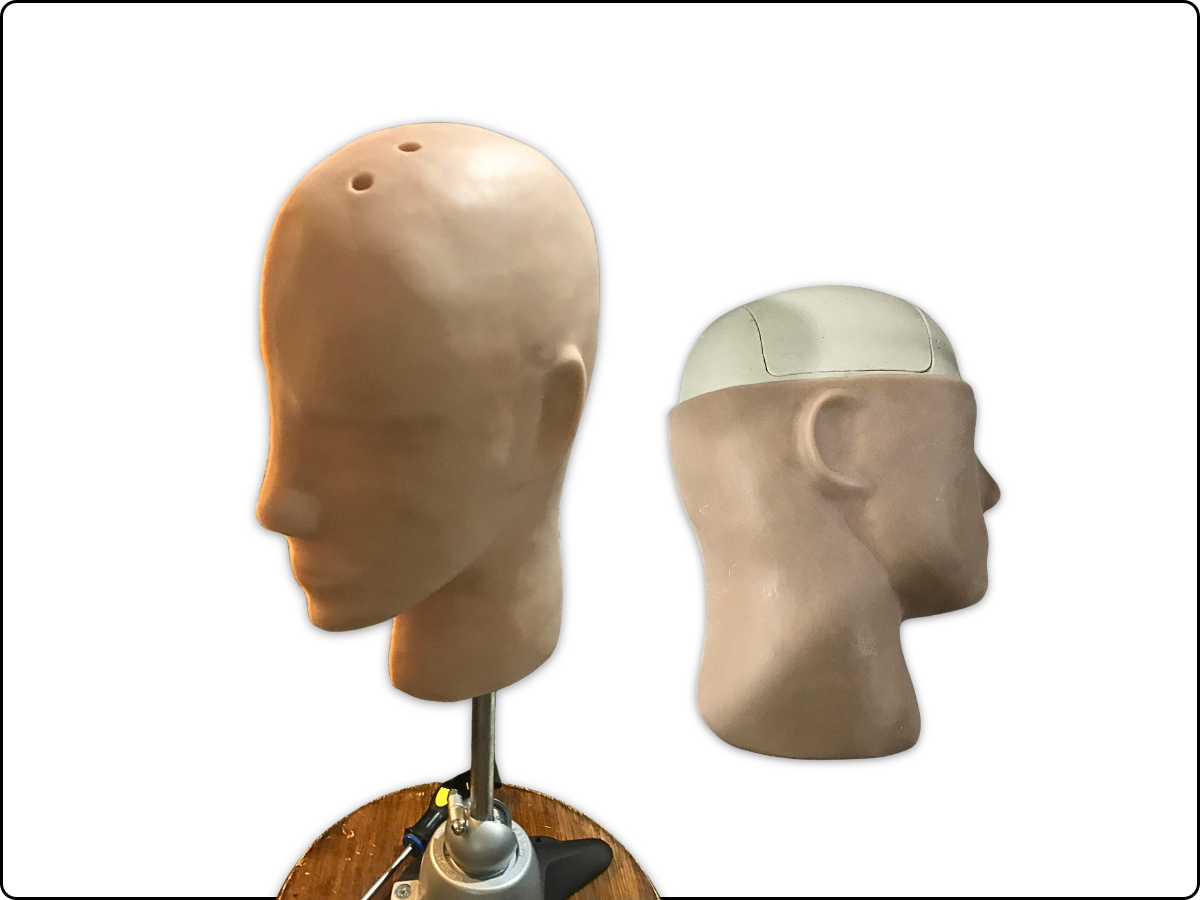 Brain Catheter Model image 5