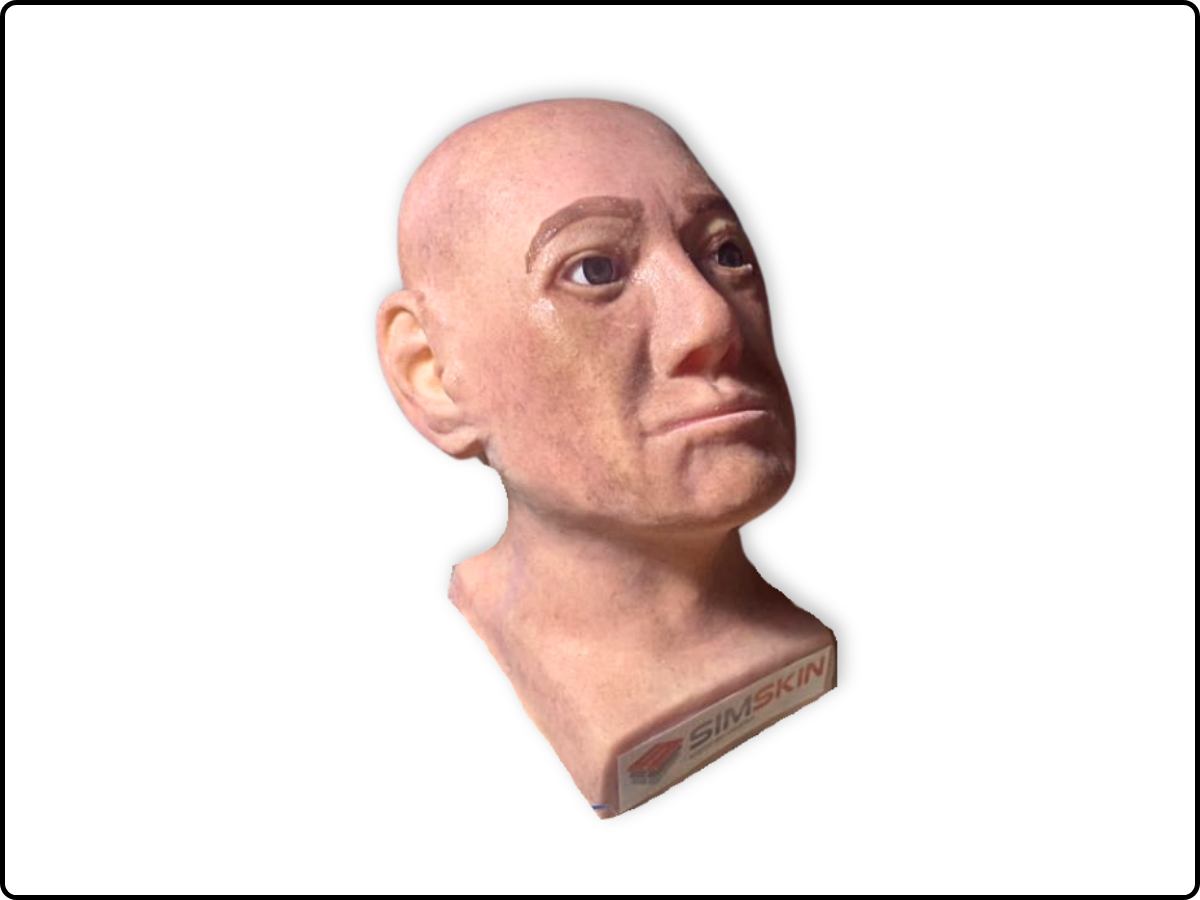 Cosmo Head Model image 1